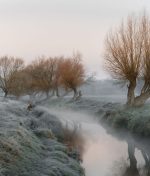 The Healing Leader: Tending to Our Wounds to Heal Others