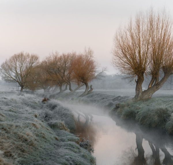 A,Beautiful,Shot,Of,A,Stream,Flowing,Through,A,Frosty