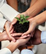 Courage to Lead in Anxious Times: Leadership Lessons for a Fragmented World