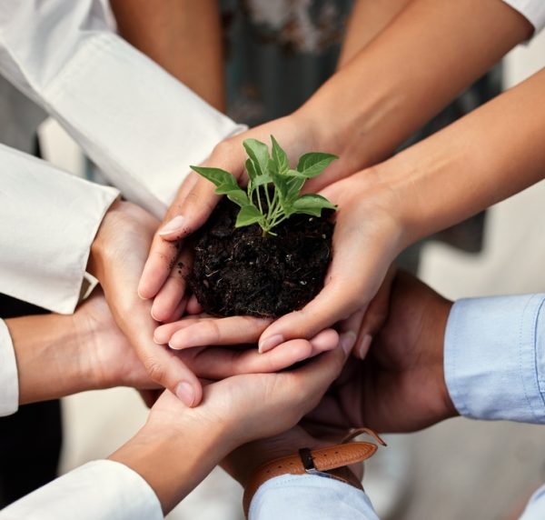Business,People,,Hands,And,Plant,With,Teamwork,,Synergy,And,Sustainability,