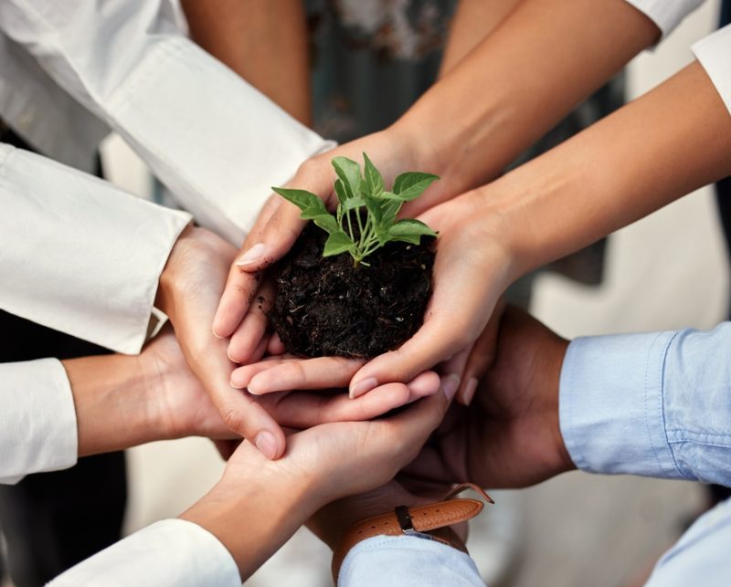 Business,People,,Hands,And,Plant,With,Teamwork,,Synergy,And,Sustainability,