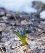 Awakening to God, Ourselves, and One Another